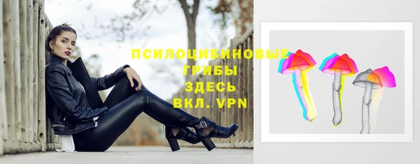 гашик Балахна